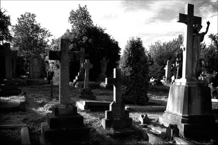 cementerio de cementerio de ensueño