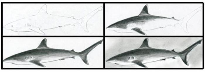 cómo dibujar un lápiz tiburón