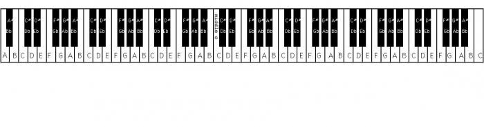 ¿Cuántas teclas tiene el piano?